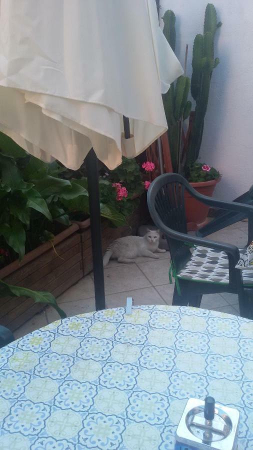 Nenna Apartment Olbia Exterior photo